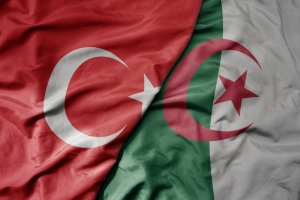 كيفية الاستيراد من تركيا إلى الجزائر: الشروط والتكاليف