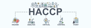 أهمية شهادة HACCP في سلامة الأغذية والتجارة الدولية