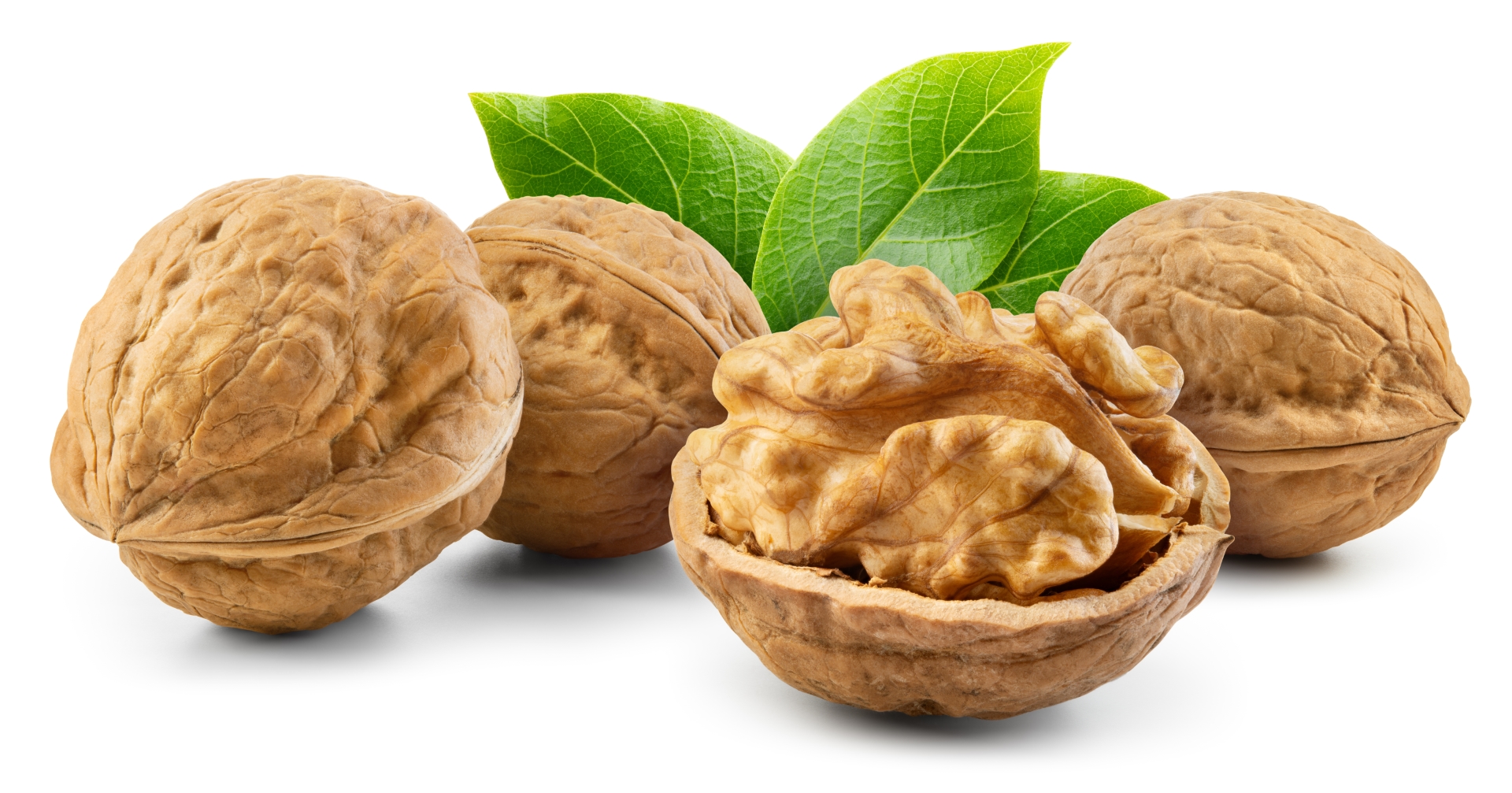 الجوز التركي